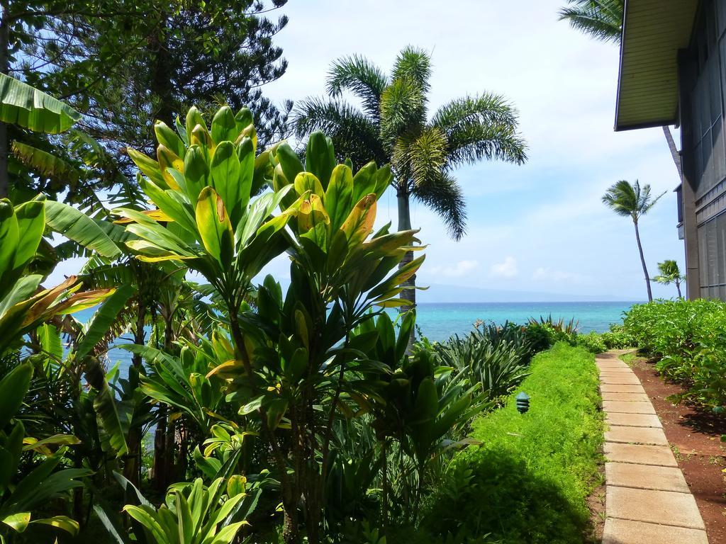 Mahina Surf 220 By Redawning Aparthotel Lahaina Ngoại thất bức ảnh